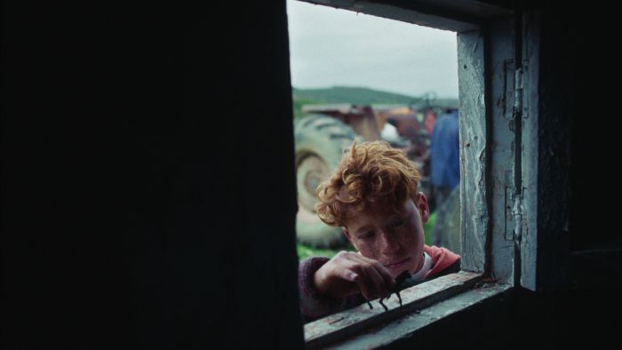 Grupocine exhibe gratis Panorama Internacional en el marco del Festival Internacional de Cine de Punta del Este