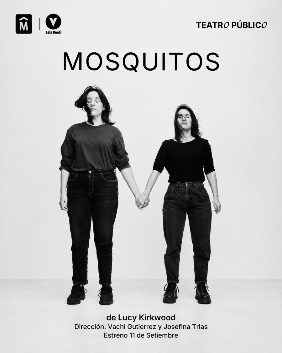 Cuenta regresiva para el estreno de «Mosquitos» en Sala Verdi
